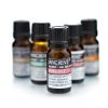 Picture of 10 ml Niaouli Essential Oil