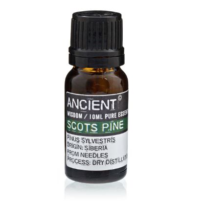 Picture of 10 ml Pine Sylvestris (Scots Pine) Essential Oil