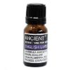 Picture of English Lavender Essential Oil 10ml